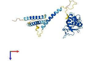 AlphaFold protein structure predicition of Human Recombinant MED27 Protein, UniprotID Q6P2C8