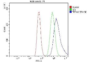 Flow Cytometry analysis of A549 cells using anti-TRPA1/TSA antibody (ABIN7601489).