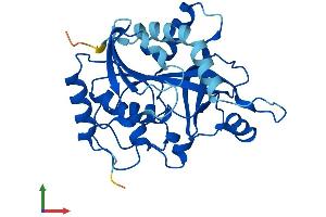 AlphaFold protein structure predicition of Mouse Recombinant Pnp Protein, UniprotID P23492