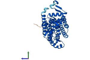 AlphaFold protein structure predicition of Human Recombinant DPAGT1 Protein, UniprotID Q9H3H5