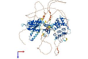 AlphaFold protein structure predicition of Mouse Recombinant Agap3 Protein, UniprotID Q8VHH5