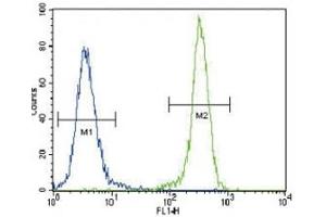 Anti-E Cadherin antibody flow cytometric analysis of 293 cells (right histogram) compared to a negative control cell (left histogram).