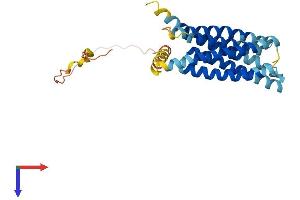 AlphaFold protein structure predicition of Mouse Recombinant Tmem163 Protein, UniprotID Q8C996