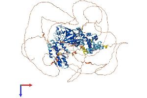 AlphaFold protein structure predicition of Mouse Recombinant Jarid2 Protein, UniprotID Q62315