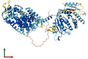 AlphaFold protein structure predicition of Human Recombinant SLC12A9 Protein, UniprotID Q9BXP2