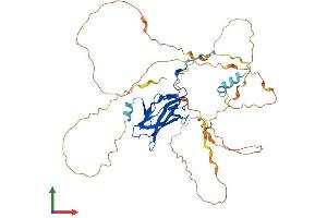AlphaFold protein structure predicition of Mouse Recombinant Runx1 Protein, UniprotID Q03347