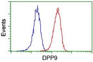 Flow cytometric Analysis of Jurkat cells, using anti-DPP9 antibody (ABIN2455373), (Red), compared to a nonspecific negative control antibody, (Blue). (DPP9 anticorps)