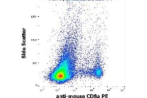 Flow cytometry surface staining pattern of murine splenocyte suspension stained using anti-mouse CD8a (53-6.