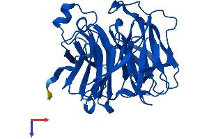 AlphaFold protein structure predicition of Human Recombinant RGN Protein, UniprotID Q15493