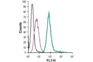 Cell surface detection of EMR1 in live intact mouse J774 macrophage cells: (black line) Cells.