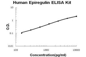 Human Epiregulin PicoKine ELISA Kit standard curve