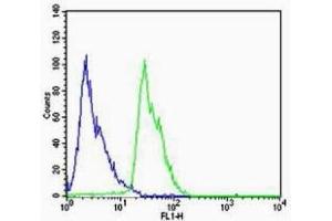 SH-SY5Y cells probed with Rabbit Anti-Dopamine Receptor D1 Polyclonal Antibody (ABIN2173724) at 1:100 for 60 minutes at room temperature followed by Goat Anti-Rabbit IgG (H+L) Alexa Fluor 488 Conjugated Secondary.