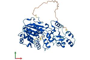 AlphaFold protein structure predicition of Human Recombinant TRDMT1 Protein, UniprotID O14717