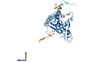 AlphaFold protein structure predicition of Human Recombinant FAM221A Protein, UniprotID A4D161