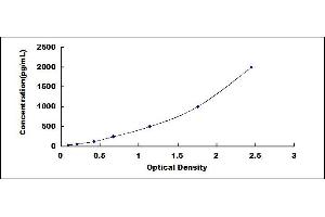 ELISA image for Matrix Metallopeptidase 13 (Collagenase 3) (MMP13) ELISA Kit (ABIN4947850)