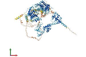 AlphaFold protein structure predicition of Human Recombinant SMARCA1 Protein, UniprotID P28370