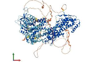 AlphaFold protein structure predicition of Mouse Recombinant Sos1 Protein, UniprotID Q62245