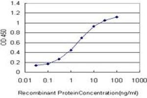 Detection limit for recombinant GST tagged SCAND1 is approximately 0. (SCAND1 anticorps  (AA 1-179))
