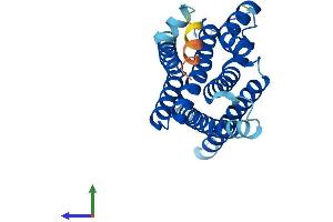 AlphaFold protein structure predicition of Human Recombinant APH1B Protein, UniprotID Q8WW43