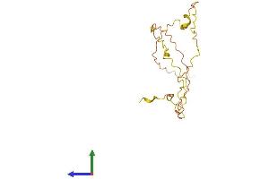 AlphaFold protein structure predicition of Human Recombinant KLLN Protein, UniprotID B2CW77