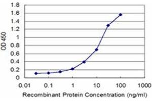 Detection limit for recombinant GST tagged ATF4 is approximately 0.