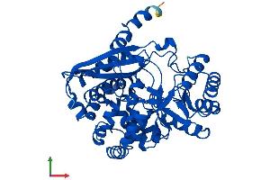 AlphaFold protein structure predicition of Human Recombinant ENOSF1 Protein, UniprotID Q7L5Y1
