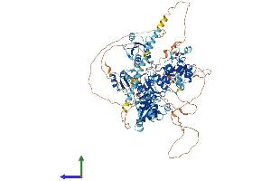 AlphaFold protein structure predicition of Mouse Recombinant Paxip1 Protein, UniprotID Q6NZQ4