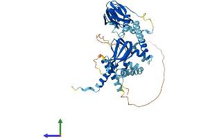 AlphaFold protein structure predicition of Mouse Recombinant Prkar2b Protein, UniprotID P31324