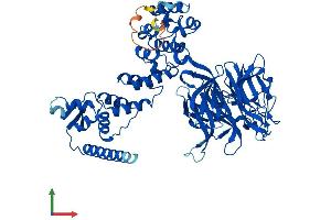 AlphaFold protein structure predicition of Mouse Recombinant Klhl41 Protein, UniprotID A2AUC9