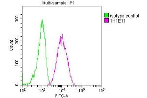 Overlay histogram showing A549 cells stained with ABIN7147174 (red line) at 1:100.