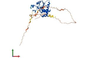 AlphaFold protein structure predicition of Mouse Recombinant Dusp11 Protein, UniprotID Q6NXK5