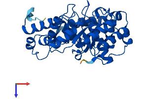 AlphaFold protein structure predicition of Mouse Recombinant Dera Protein, UniprotID Q91YP3