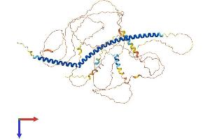 AlphaFold protein structure predicition of Human Recombinant KIZ Protein, UniprotID Q2M2Z5