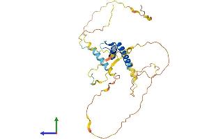 AlphaFold protein structure predicition of Mouse Recombinant Ptf1a Protein, UniprotID Q9QX98