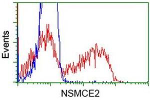 HEK293T cells transfected with either RC207639 overexpress plasmid (Red) or empty vector control plasmid (Blue) were immunostained by anti-NSMCE2 antibody (ABIN2453380), and then analyzed by flow cytometry. (NSMCE2 anticorps)