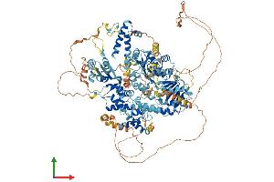 AlphaFold protein structure predicition of Mouse Recombinant Recql4 Protein, UniprotID Q75NR7