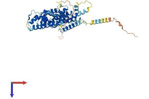 AlphaFold protein structure predicition of Mouse Recombinant Fam178b Protein, UniprotID Q24JP3