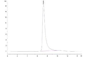 The purity of Biotinylated Human DLL4 is greater than 95 % as determined by SEC-HPLC.