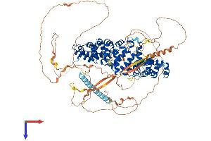 AlphaFold protein structure predicition of Mouse Recombinant Arvcf Protein, UniprotID P98203