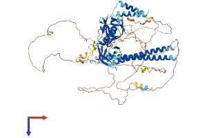 AlphaFold protein structure predicition of Mouse Recombinant Afap1l1 Protein, UniprotID Q8BZI0