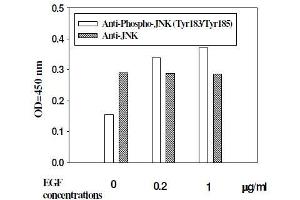 Hela cells were stimulated by different concentrations of anisomycin for 1 hour at 37 °C (JNK Kit ELISA)