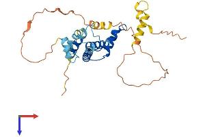 AlphaFold protein structure predicition of Human Recombinant ACBD4 Protein, UniprotID Q8NC06