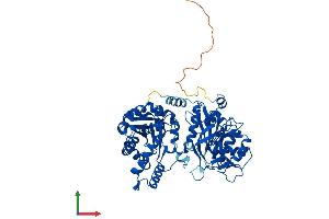 AlphaFold protein structure predicition of Mouse Recombinant Ctps1 Protein, UniprotID P70698