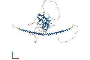 AlphaFold protein structure predicition of Human Recombinant ARHGAP22 Protein, UniprotID Q7Z5H3