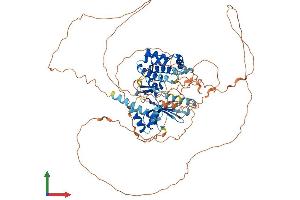 AlphaFold protein structure predicition of Human Recombinant SNRK Protein, UniprotID Q9NRH2