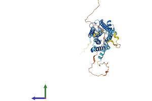 AlphaFold protein structure predicition of Mouse Recombinant S1pr5 Protein, UniprotID Q91X56