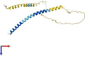 AlphaFold protein structure predicition of Human Recombinant FATE1 Protein, UniprotID Q969F0