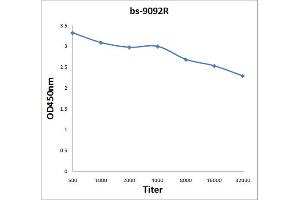 Antigen: 2 µg/100 µL  Primary: Antiserum, 1:500, 1:1000, 1:2000, 1:4000, 1:8000, 1:16000, 1:32000;  Secondary: HRP conjugated Rabbit Anti-Goat IgG at 1: 5000;  TMB staining Read the data in Microplate Reader by 450nm.