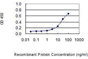 anti-Endonuclease, PolyU-Specific (ENDOU) (AA 270-369) antibody