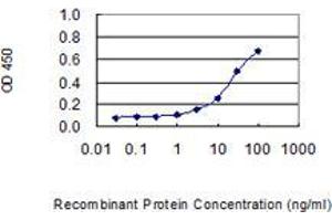 Detection limit for recombinant GST tagged P11 is 1 ng/ml as a capture antibody.